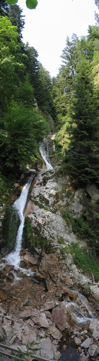 Yay for photostitch!